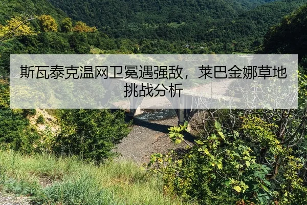 si-wa-tai-ke-wen-wang-wei-mian-yu-qiang-di-lai-ba-jin-na-cao-di-tiao-zhan-fen-xi-2-718.jpg
